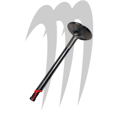 SBT- USA . Exhaust Valve Kawasaki .Soupape Échappement Ultra-300
