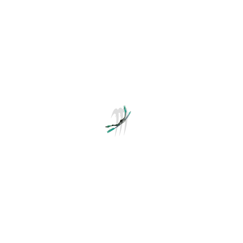 Photo Enhancer Retard Module , 800sxr - Pièces Jet Ski, accessoires et entretiens - Matos import