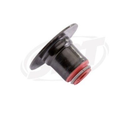 Tail Gasket Valve
