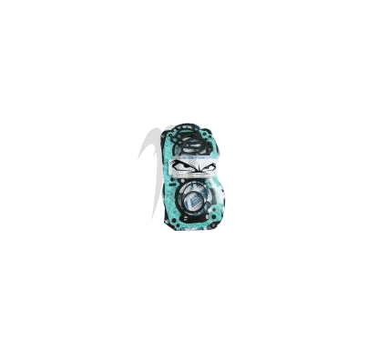 Pochette joint haut moteur Seadoo 951cc DI