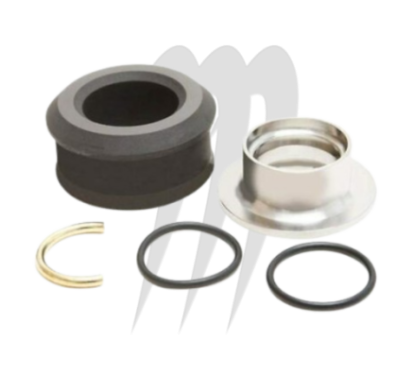 Kit Bague de Carbone BRP Sea-Doo 295501200