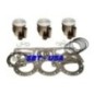 Photo Kit pistons premium Kawasaki STX/ STS / ZXI (Standard 73mm) - Pièces Jet Ski, accessoires et entretiens - Matos import