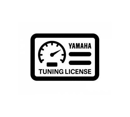 RIVA Yamaha FZR/FZS SVHO Speed Control Override Module