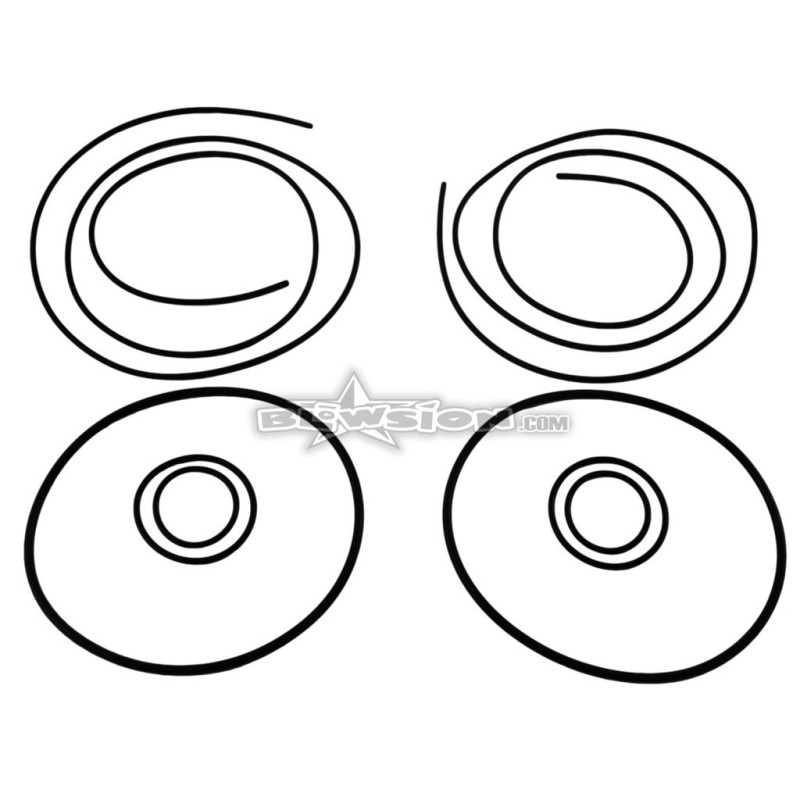 Photo Kit de joint O-Ring pour culasse Blowsion - Pièces Jet Ski, accessoires et entretiens - Matos import