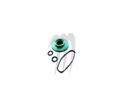 GASKET-TEC . Kit Power Valve de Remplacement, Sea-doo 951cc(1 joint,membrane,toriques)