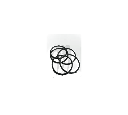 Joint viton ( o-ring 341) XP-ltd/ 800-SXR