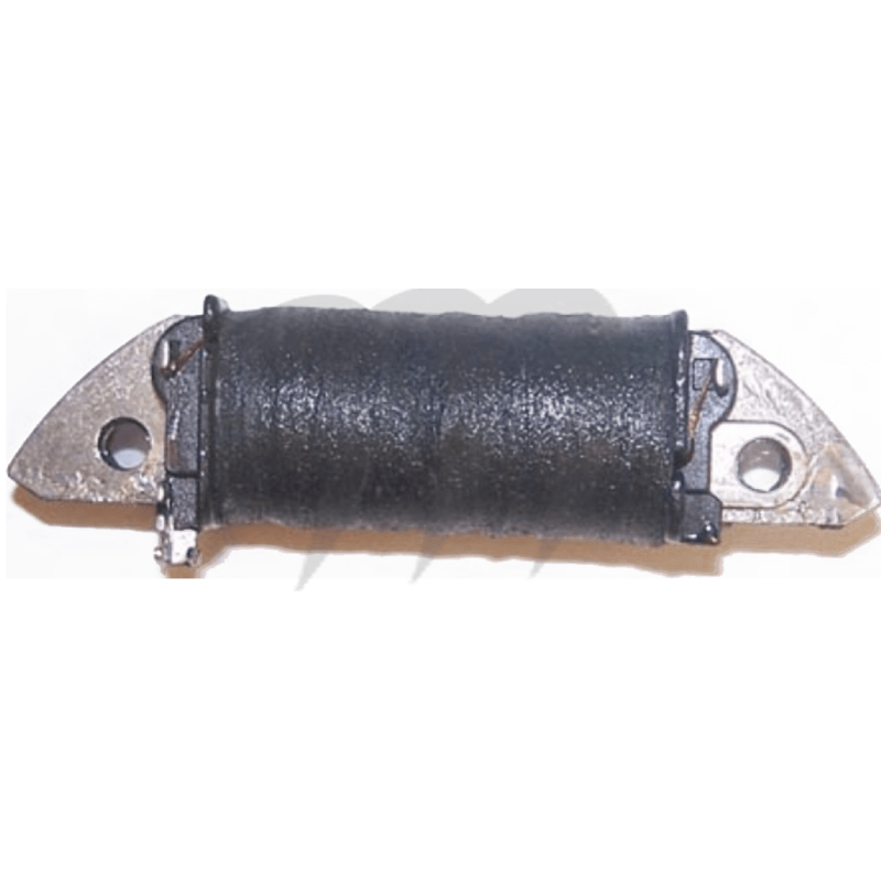 Photo Bobine de charge Seadoo GTS/ GTX/ GTI/ SP/ SPI/ SPX/ HX/ GS - Pièces Jet Ski, accessoires et entretiens - Matos import