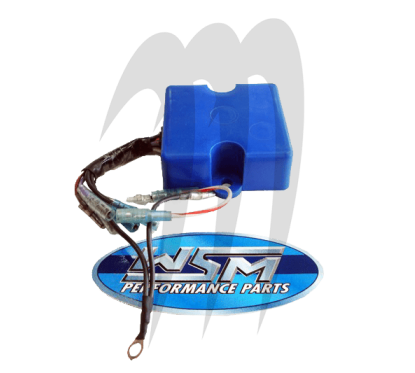 Photo WSM-USA. CDI Ecu Box Remplacement Origine Yamaha 650cc-701cc - Pièces Jet Ski, accessoires et entretiens - Matos import