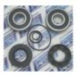 Photo Kit réparation turbine Polaris SL 650/ SL 750 - Pièces Jet Ski, accessoires et entretiens - Matos import