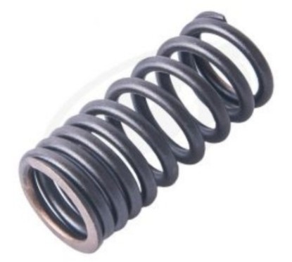 Valve spring ( EXT )