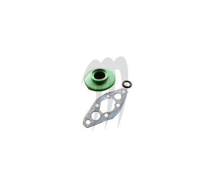 Sea-Doo RAVE Valve Rebuild Kit XP800 /Challenger /GSX /GTX /XP /Challenger 1800 /SPX