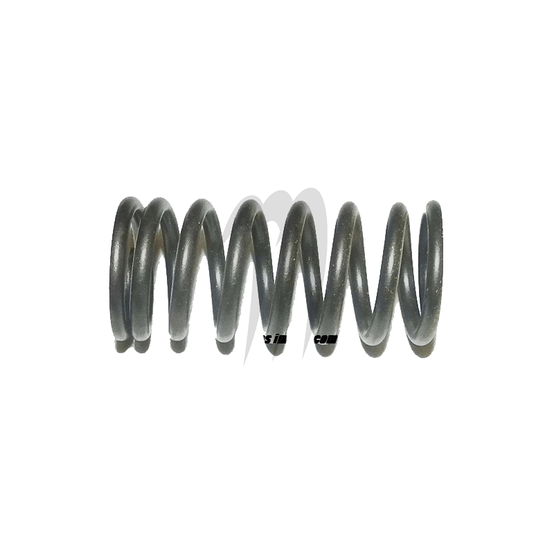 Photo Ressort De Soupape (int) Seadoo 1503cc - Pièces Jet Ski, accessoires et entretiens - Matos import