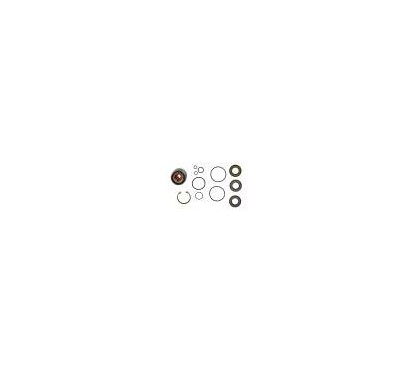 JET PUMP REPAIR KIT  , RXT-260 RS . 260 IS . 260 AS