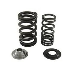 Complete Kit Springs Valves Racing - Jet Ski Parts - Matos import