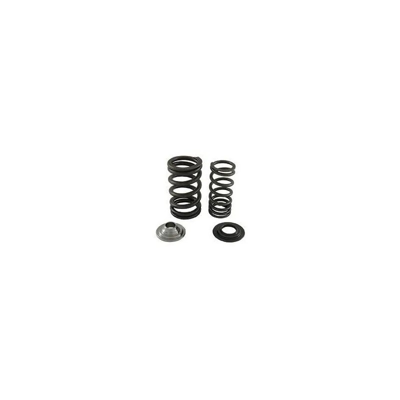 Complete Kit Springs Valves Racing - Jet Ski Parts - Matos import
