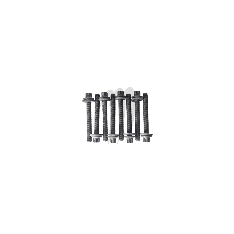 Full screw kit Enginecase - Jet Ski Parts - Matos import