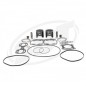 SBT PROX Kit Plungers Premium Sea Doo 800 standard 82mm - Matos import