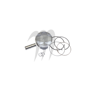 SBT -PROX. Plunger Premium, Yamaha 998cc ( cote standard 73.90mm )