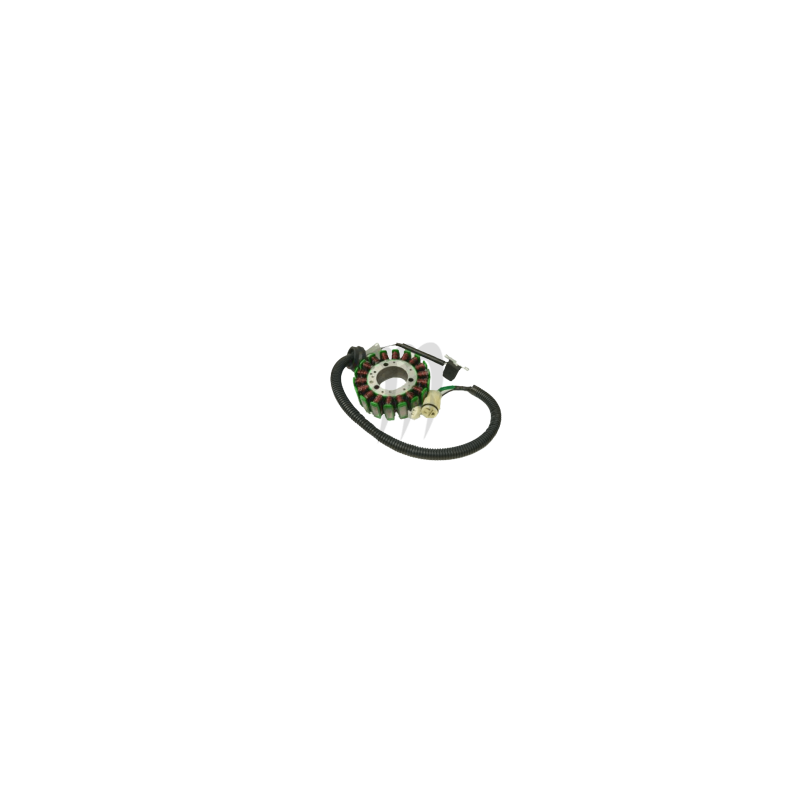 SBT-USA. Complete Stator Assembly Amature Coil Yamaha