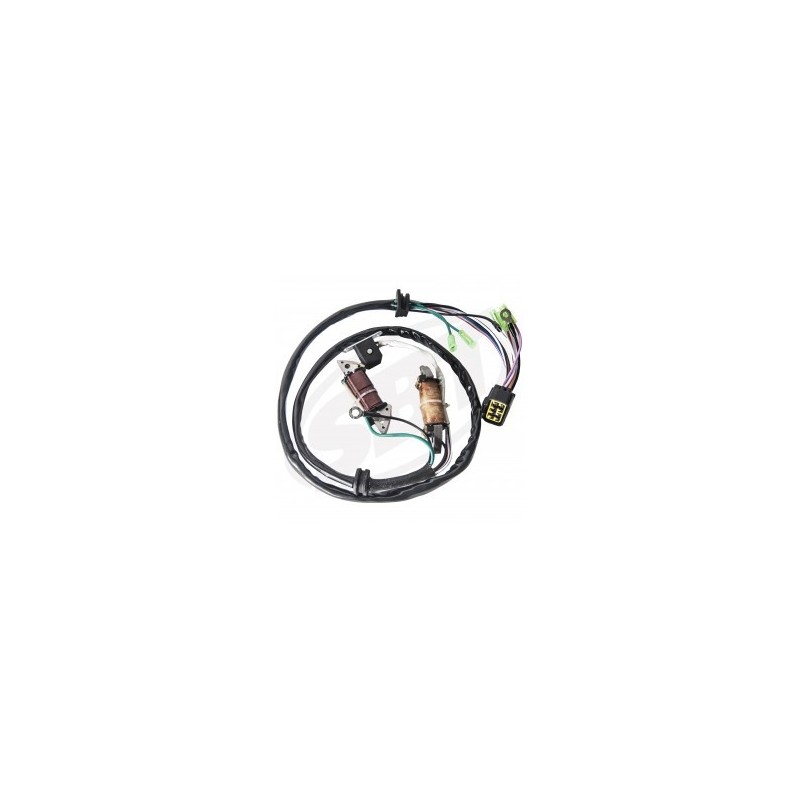 Kit Stator Plate Complet 760cc Carb - Jet Ski Parts - Matos import