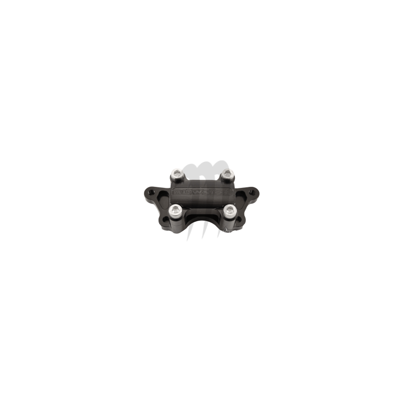 Arms Freestyle adjustable V2 signature LEE STONE