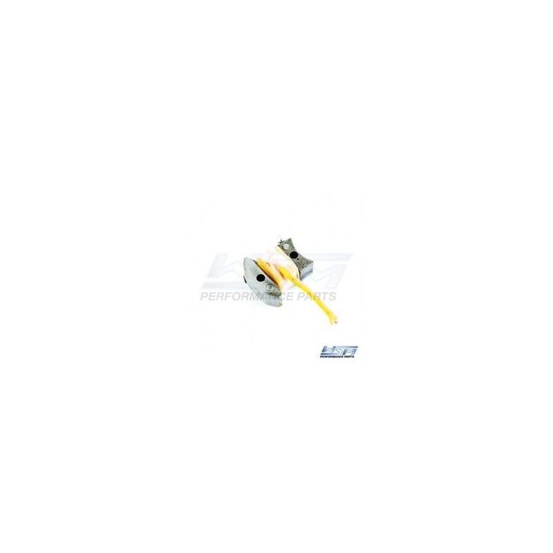 Bobine à impulssion LX SuperJet VXR FX1 Wave Blaster Raider Runner III