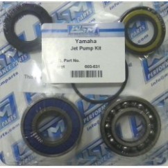 JET PUMP REPAIR KIT W Venture1100 700 W Blaster 760 W Venture1100